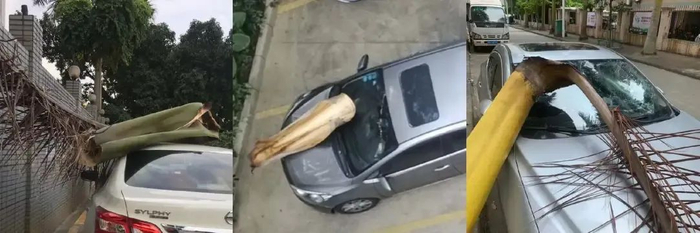 图源：小红书截图