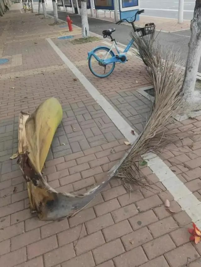 图源：中国新闻周刊