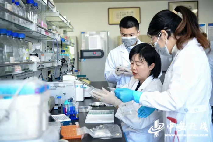 合肥科学岛强磁场科学中心，张欣带领团队，依托研究院最先进的稳态强磁场大科学装置，带领团队取得诸多重大突破。段玉摄