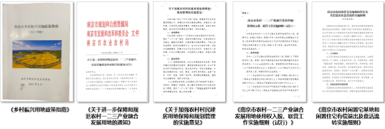 图7 南京市出台支持乡村发展相关政策
