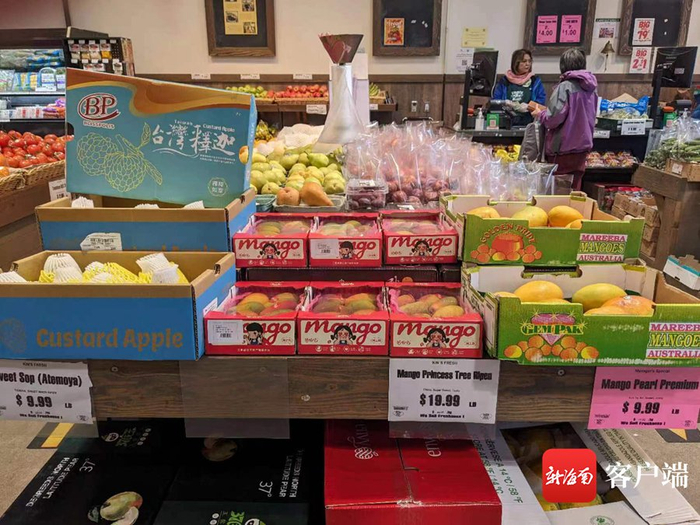  在荷兰销售的三亚芒果。三亚市芒果协会供图