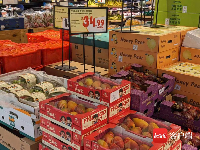 在加拿大销售的三亚芒果。三亚市芒果协会供图