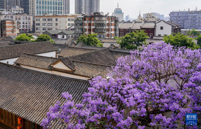 　　昆明老街一角（4月24日摄）。
