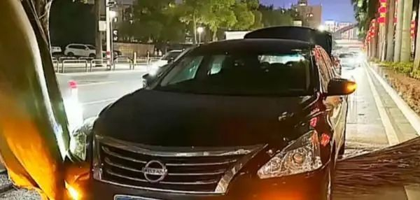 图源：广东公共DV现场