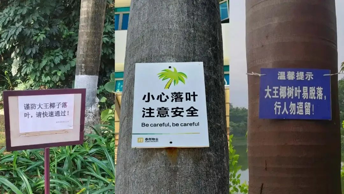 图源：小红书截图