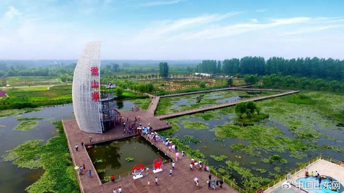 来源：滕州微山湖红荷湿地