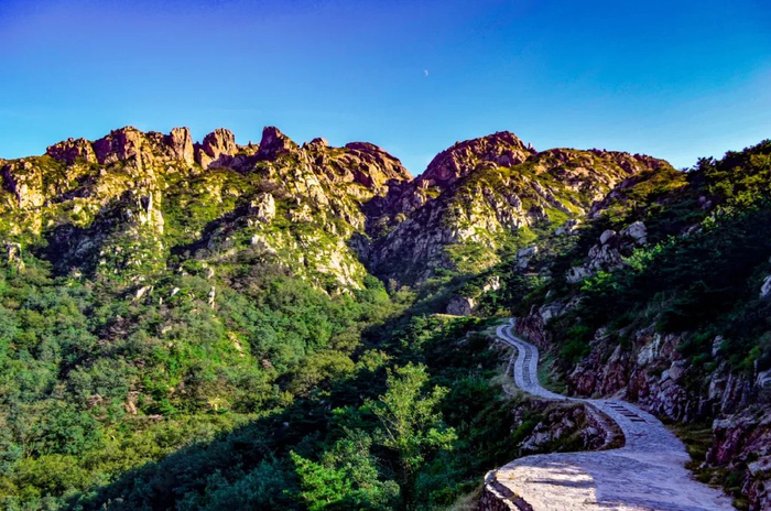 来源：青岛珠山国家森林公园