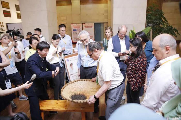 ↗体验桐君阁传统丸剂泛丸工艺