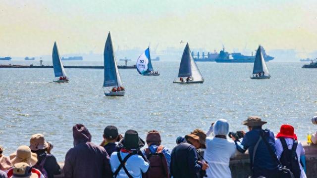 24支国内外顶尖帆船队逐梦江海，2024上海邮轮港国际帆船赛开赛
