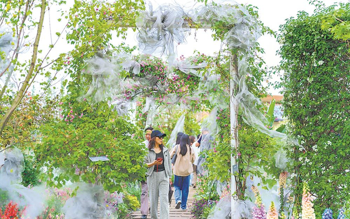 ▲游客在成都世园会温江分会场赏花