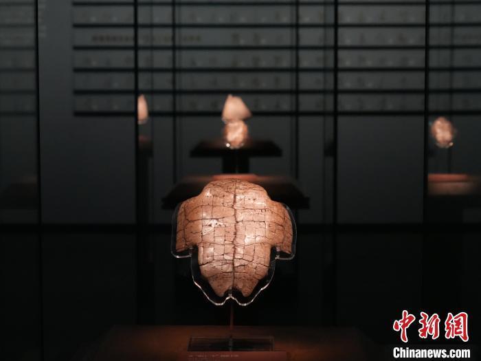   河南安阳，殷墟博物馆新馆展出甲骨片。中新社记者 阚力 摄