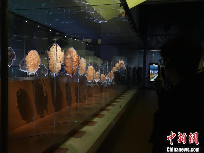   殷墟博物馆新馆展出的甲骨片。中新社记者 阚力 摄