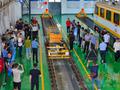 【发现最美铁路】汉中洋县“朱鹮工区”：守护高铁安全，人与自然和谐共生