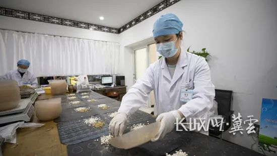 在廊坊安次区医院・京城名医馆，医务工作者正在抓药。长城网·冀云客户端记者 张航 摄