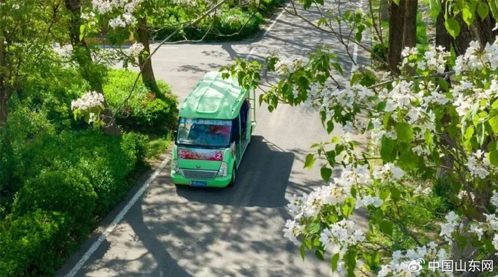  来源：潍坊临朐石门坊风景区