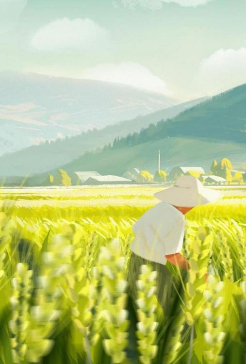 又到风吹麦浪时。新华社发（吴思颖作）