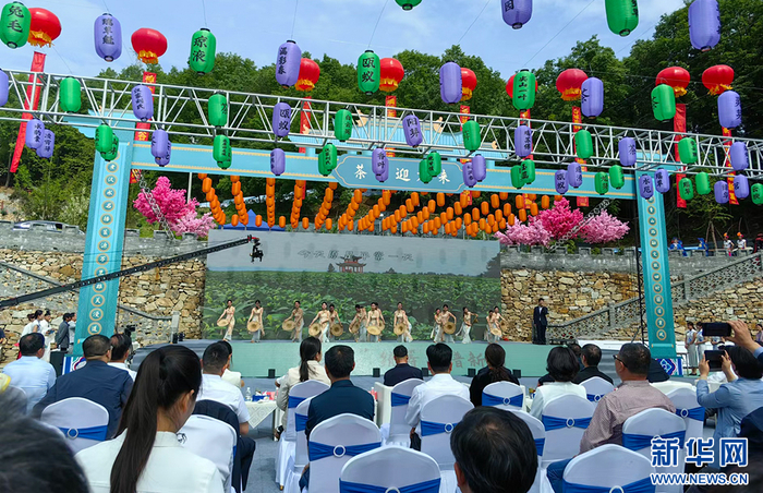 襄阳市谷城县举办“与世界共品一杯高香茶”茶文旅活动。新华网发 张倩龙摄