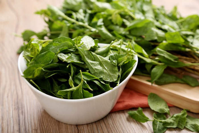 枸杞苗。 图/IC photo