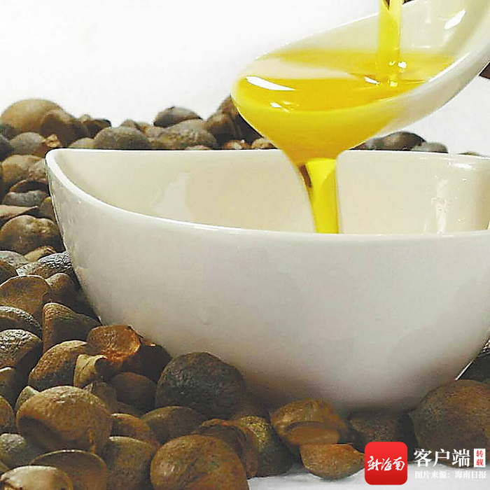 山柚油。资料图