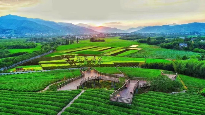 杭州径山镇小古城村 图源：“杭州日报”微信公众号