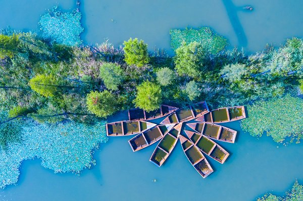 图说：漕泾郊野公园生态湿地。金山区供图（下同）