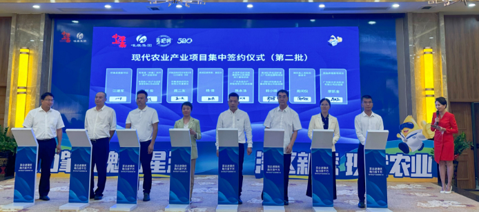 △签约现场。杨乐祺 摄