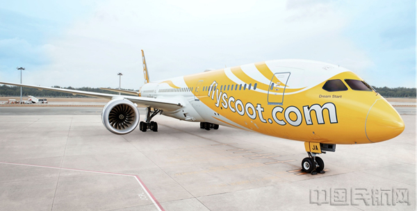 （新加坡酷航供图）