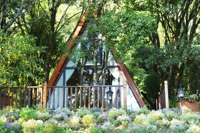 帐篷营地。图源：大理广播电视台