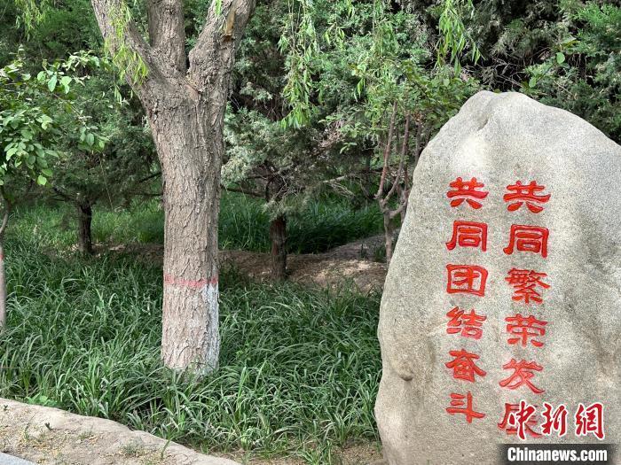 图为主题公园内石头上刻有“共同团结奋斗共同繁荣发展”宣传标语。戴文昌 摄