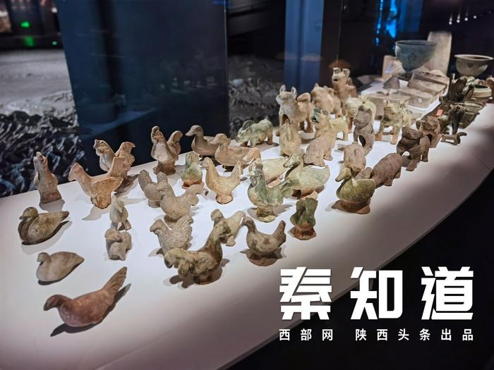陕西历史博物馆秦汉馆展厅中的陶动物