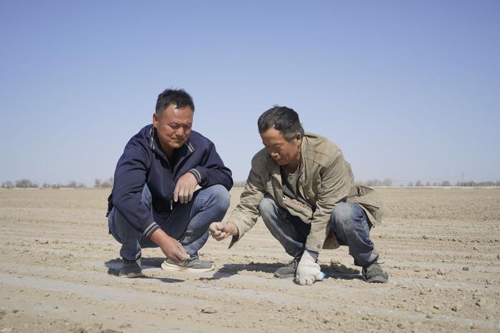新疆棉农的奋斗故事