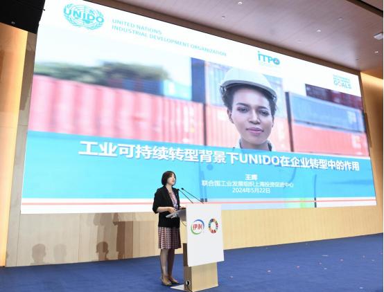 联合国工业发展组织上海投资与技术促进办公室投资技术促进官员王晖发言