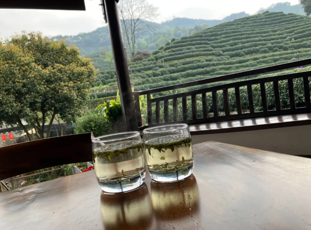 ▲ 在杭州时，黎林桦和朋友一起在九溪烟树，点了两杯龙井。图 / 受访者提供