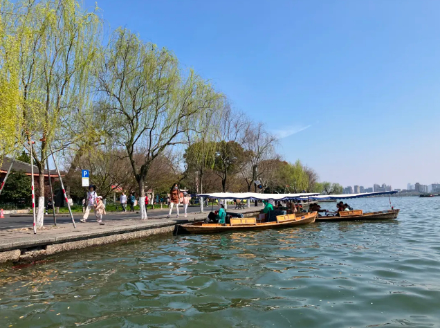 ▲ 黎林桦在西湖散步。图 / 受访者提供