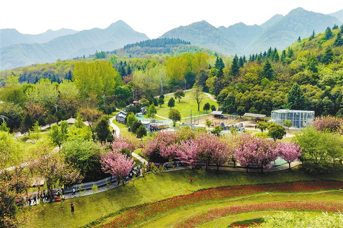 秦岭国家植物园内绿意盎然。（资料图片）
