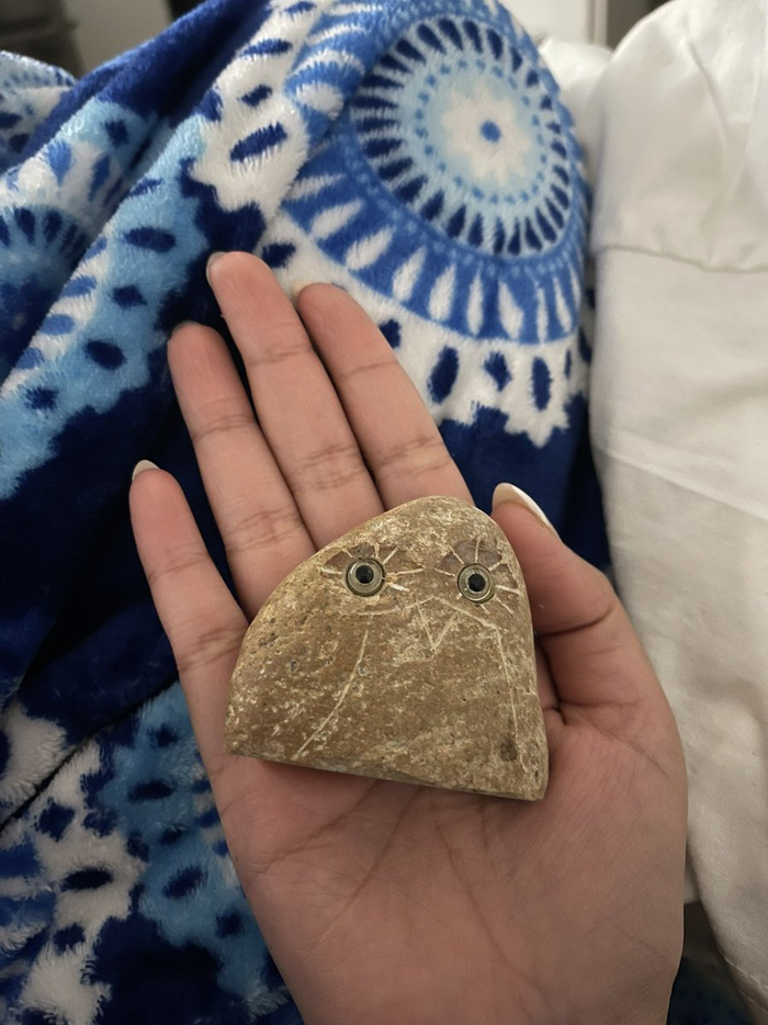 ▲“宠物石”成年轻人伴侣