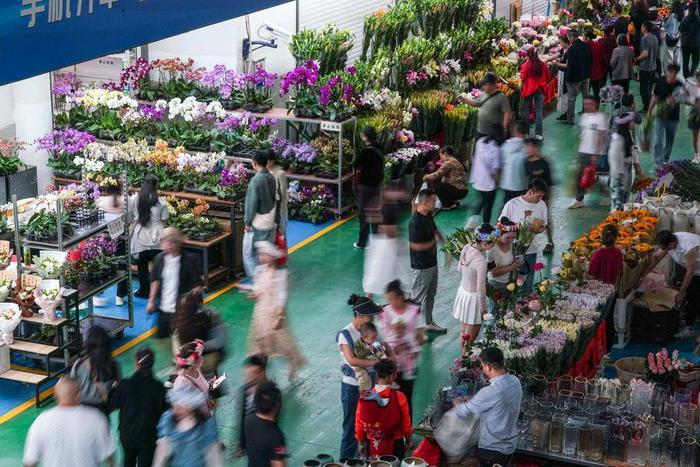 人们在昆明斗南花卉交易市场里选购鲜花（5月15日摄）。新华社记者 王静颐 摄