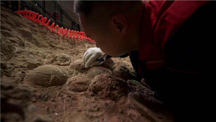 湖北省地质科学研究院高级工程师赵璧仔细研究恐龙蛋化石