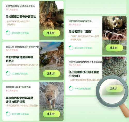 图说:“野朋友计划”上线的五组物种拍摄资料