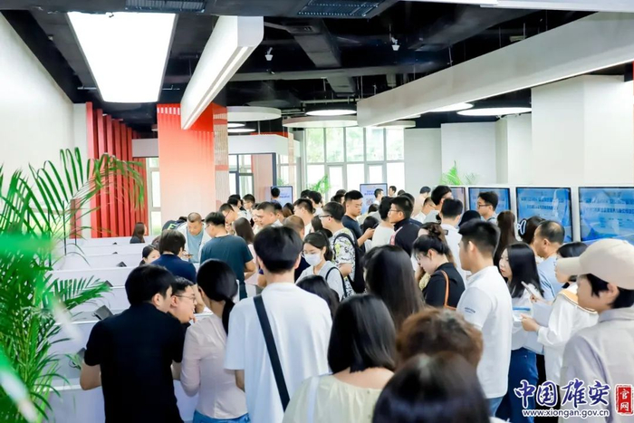 招聘会现场。雄安新区党群工作部供图