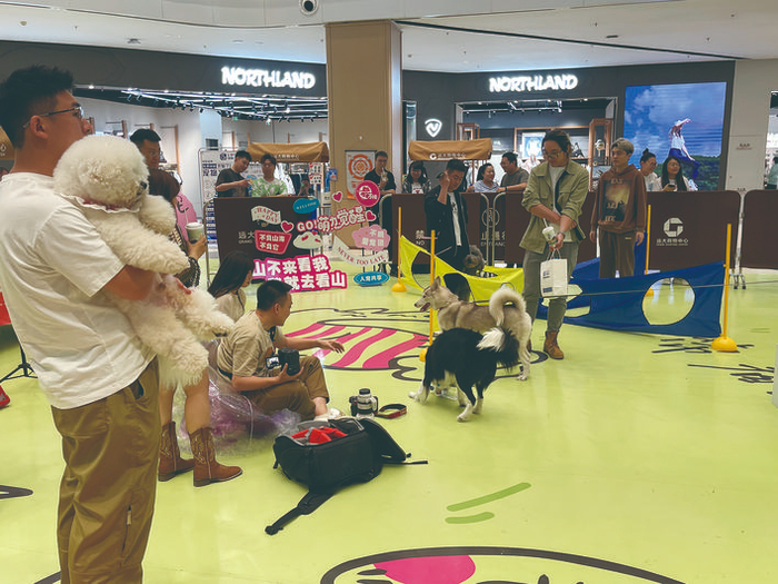 宠物们在商场举办的萌宠交流活动中玩得不亦乐乎。 李依南 摄