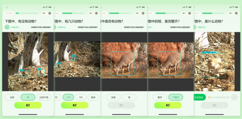 图说:“寻找野朋友”标注玩法拆解demo