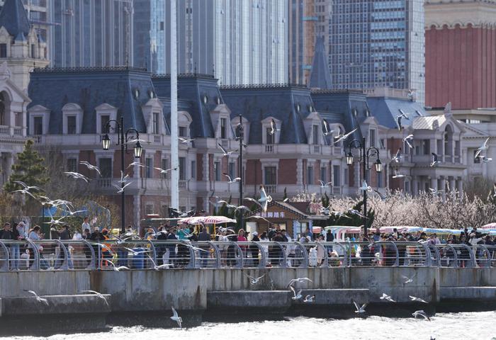 2024年4月16日，在辽宁省大连市东港商务区，游客在海边休闲观光。新华社记者 李钢 摄