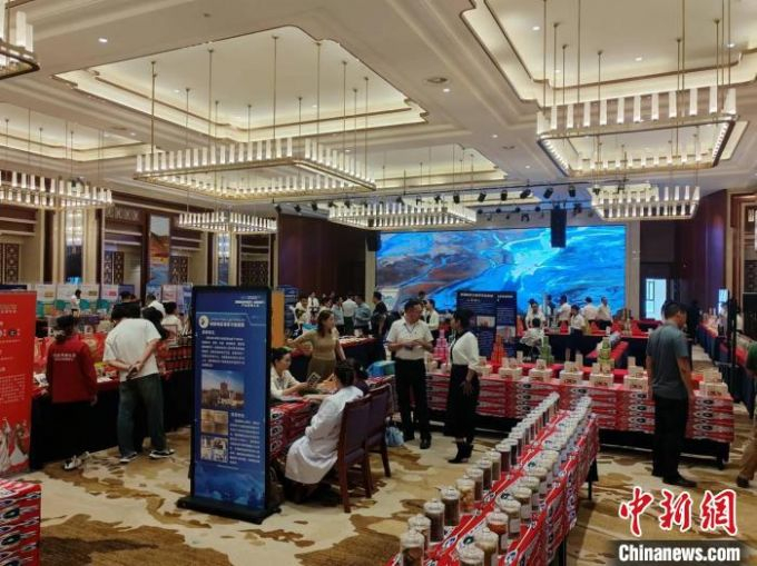 5月11日，新疆和田地区迎宾馆展示当地各类中药材。中新网记者王小军摄