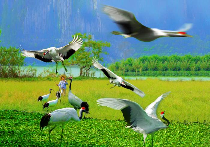 △ 图源 星湖湿地公园