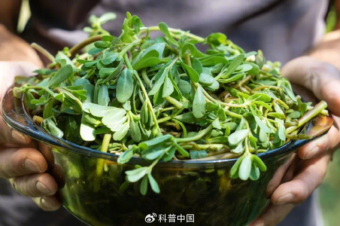 图库版权图片，转载使用可能引发版权纠纷