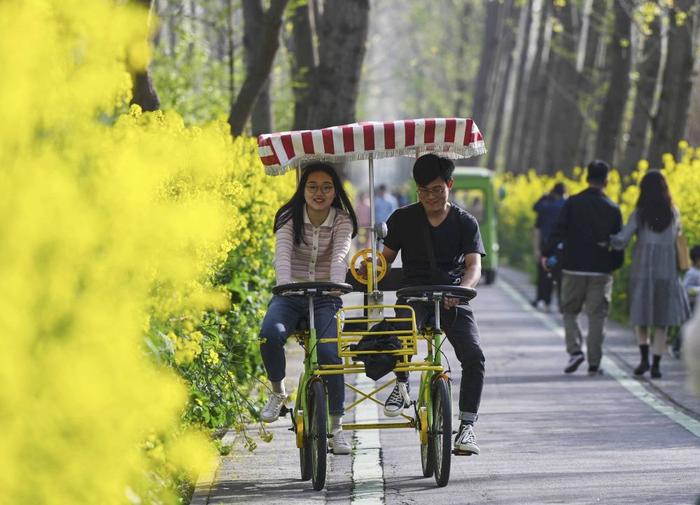 2021年3月28日，游人在合肥滨湖国家森林公园内游览。新华社记者 韩旭 摄