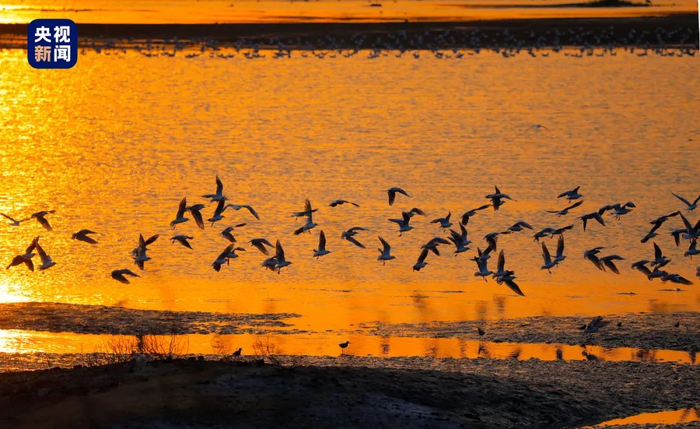 　　△傅疃河口国家湿地公园