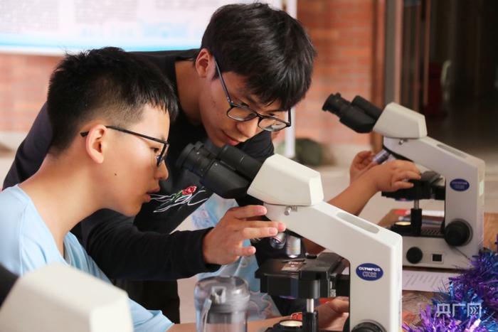 学生们通过显微镜观察微观世界（央广网记者 张丽娜 摄）