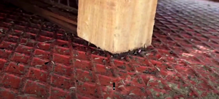 ▲运输食品的卡车上爬满了虫子